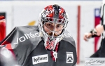 Ligue Magnus : 25me journe : Bordeaux vs Angers 