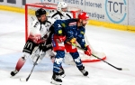 Ligue Magnus : 4me journe  : Grenoble  vs Mulhouse