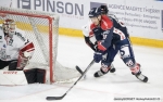 Ligue Magnus : 5me journe  : Angers  vs Bordeaux