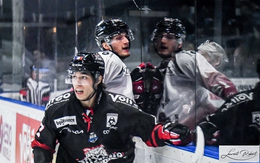 Hockey Sur Glace Ligue Magnus Ligue Magnus Me Journ E