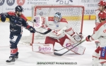 Ligue Magnus : 1ere journe  : Angers  vs Grenoble 