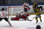 Ligue Magnus : 32me journe : Rouen vs Brianon 