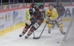 Ligue Magnus : 33me journe : Amiens  vs Rouen