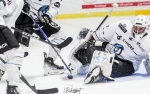 Ligue Magnus : 24me journe : Marseille vs Cergy-Pontoise