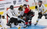 Ligue Magnus : 2me journe : Amiens  vs Rouen