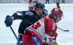 Ligue Magnus : 24me journe : Angers  vs Grenoble 