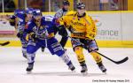 Ligue Magnus, 14me journe : Dijon  vs Rouen