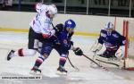 Ligue Magnus : 6me journe : Brest  vs Brianon 