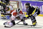 Ligue Magnus : 11me journe : Rouen vs Morzine-Avoriaz