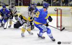 Ligue Magnus : 18me journe : Dijon  vs Rouen