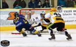 Ligue Magnus : 20me journe : Chamonix  vs Strasbourg 