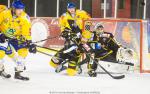 Ligue Magnus : 21me journe : Strasbourg  vs Dijon 