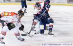 Ligue Magnus : 21me journe : Angers  vs Amiens 