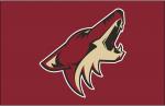 NHL : Les Coyotes restent  Glendale