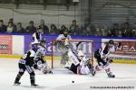 Ligue Magnus : 6me journe : Rouen vs Bordeaux