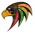 NHL : Le logo de Chicago discriminatoire ?