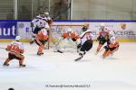 Continental Cup J3 Match 5 : Tychy logiquement