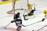 Ligue Magnus : 13me journe : Amiens  vs Strasbourg 