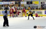 Ligue Magnus : 15me journe : Dijon  vs Strasbourg 