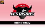 L'ambition des Bisons