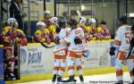 Ligue Magnus : 4me journe : Dijon  vs Epinal 