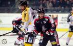 Ligue Magnus : 10me journe : Bordeaux vs Rouen