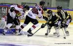 Ligue Magnus : 14me journe : Rouen vs Chamonix / Morzine