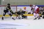 Ligue Magnus : 16me journe : Rouen vs Grenoble 