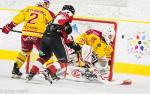 Ligue Magnus : 20me journe : Chamonix / Morzine vs Dijon 