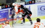 Ligue Magnus : 24me journe : Nice vs Epinal 