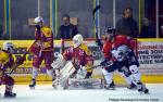 Ligue Magnus : 25me journe : Dijon  vs Angers 