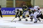 Ligue Magnus : 25me journe : Rouen vs Amiens 