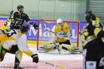 Ligue Magnus : 32me journe : Rouen vs Strasbourg 