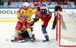 Ligue Magnus : 37me journe : Grenoble  vs Dijon 