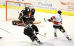 Ligue Magnus : 41me journe : Amiens  vs Nice