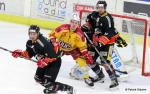 Ligue Magnus : 42me journe : Nice vs Dijon 