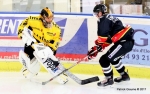 Ligue Magnus : 3me journe : Nice vs Rouen