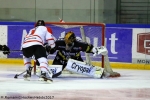 Ligue Magnus : 4me journe : Rouen vs Bordeaux