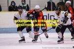 D1 - Clermont vs Strasbourg : Ractions aprs match
