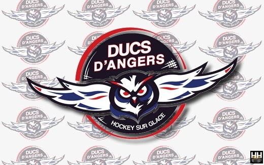 Photo hockey Angers - Communiqu suite  dcision CIRJ  - Ligue Magnus : Angers  (Les Ducs)