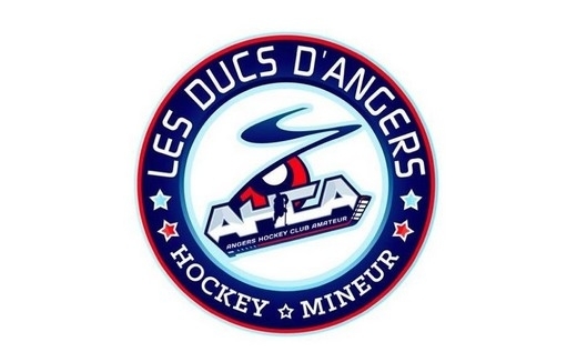 Photo hockey Angers Amateur recrute entraneur(se) - Hockey Mineur : Angers  (Les Ducs)