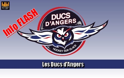 Photo hockey Angers dans la tourmente - Ligue Magnus