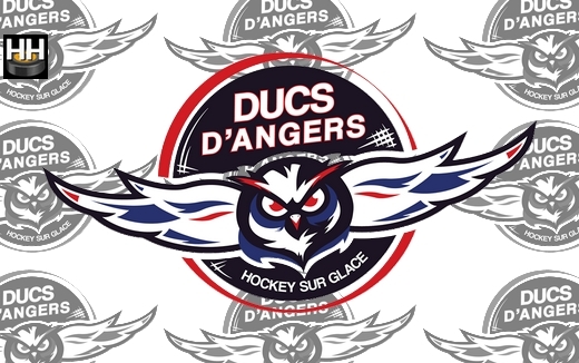 Photo hockey Angers signe un attaquant - Ligue Magnus : Angers  (Les Ducs)