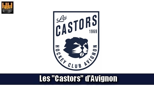 Photo hockey Avignon D3 recrute joueurs franais - Division 3