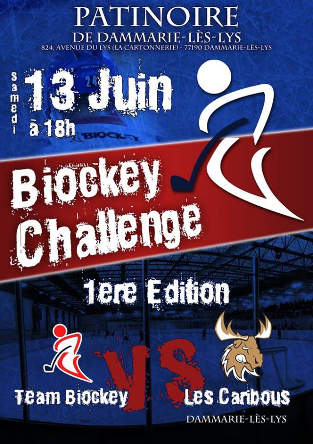 Photo hockey Challenge  Dammarie les Lys le 13 juin - Division 3 : Dammarie-les-Lys (Les Caribous)