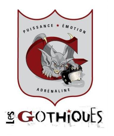 Photo hockey Changement dentraneur chez les Gothiques. - Ligue Magnus : Amiens  (Les Gothiques)