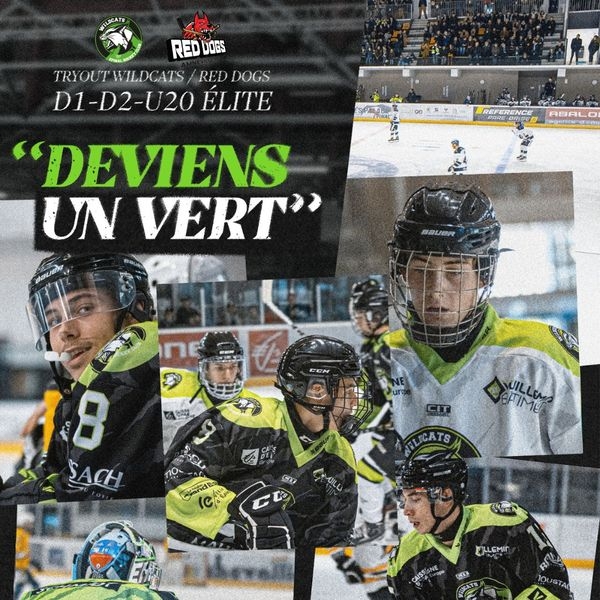 Photo hockey D1, mineur : Epinal recrute - Division 1 : Epinal  (Les Wildcats)