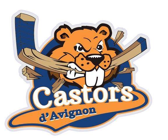 Photo hockey D2 : Avignon en piste - Division 2 : Avignon (Les Castors)