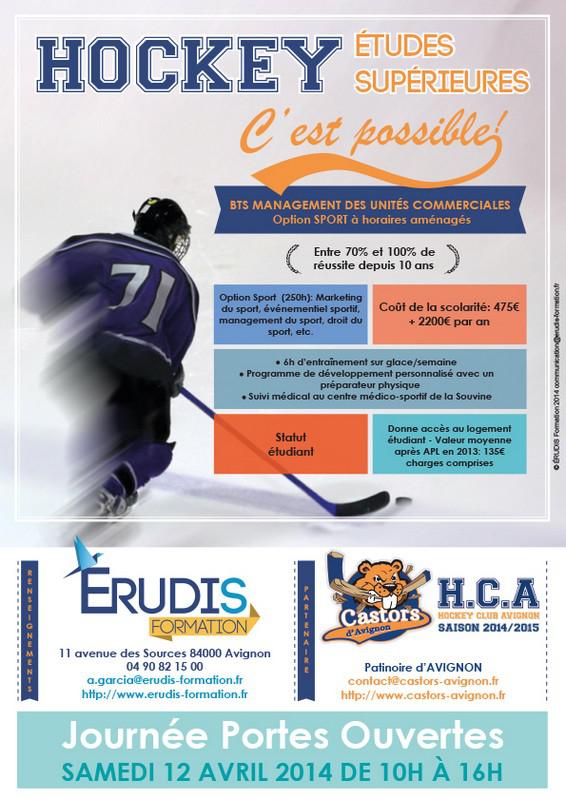 Photo hockey D2 : Les Castors d