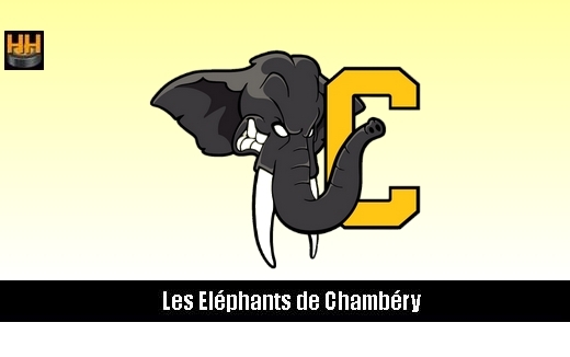 Photo hockey D3 - Chambry recrute Joueurs ! - Division 3 : Chambry (Les Elphants)
